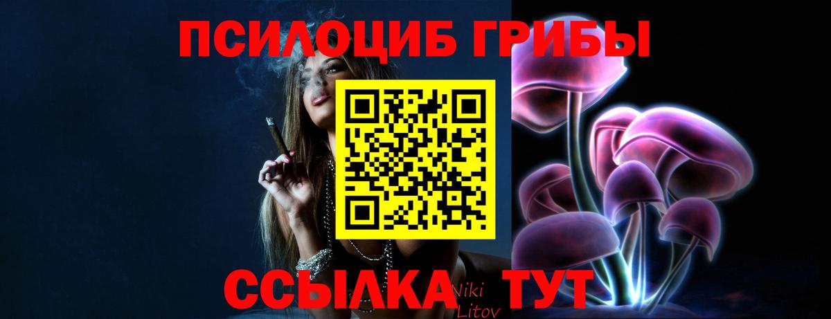 Псилоцибиновые грибы Magic Shrooms  дарнет шоп  Каменка  Вход с VPN  Псилоцибиновые грибы Psilocybe 